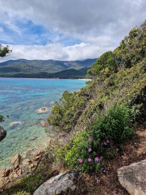 Mini Villa 69 - Piscine Chauffee Serra di Ferro Bagian luar foto
